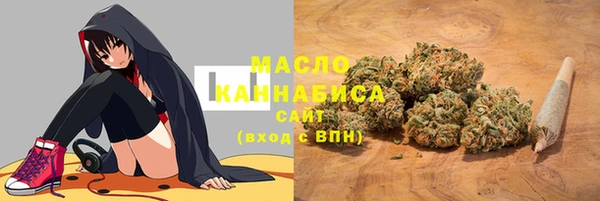 бошки Гусь-Хрустальный