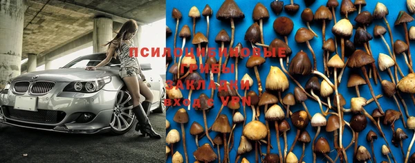 стафф Гусиноозёрск