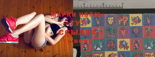 гидропоника Гусев