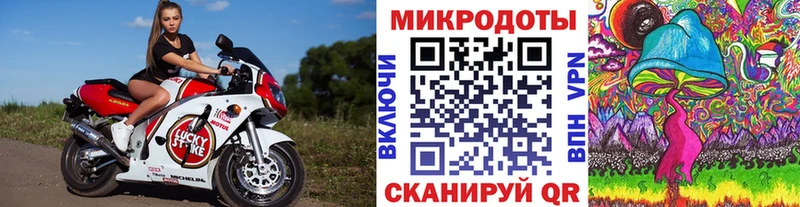 купить закладку  Западная Двина  блэк спрут рабочий сайт  Псилоцибиновые грибы Magic Shrooms 